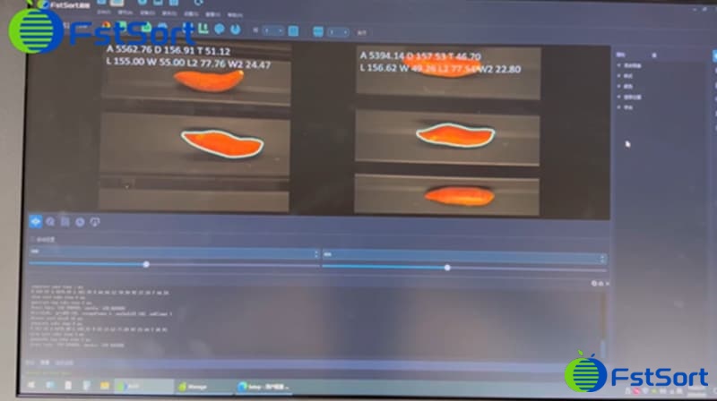 images/1723535286402Línea de clasificación óptica de batatas.jpg